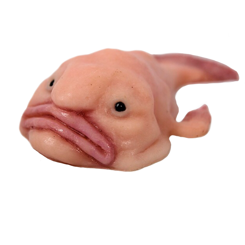 Silicone Props