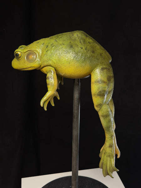 “Bertha” - Giant Bullfrog Silicone Prop