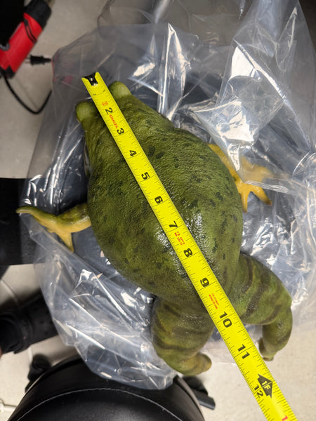 “Bertha” - Giant Bullfrog Silicone Prop