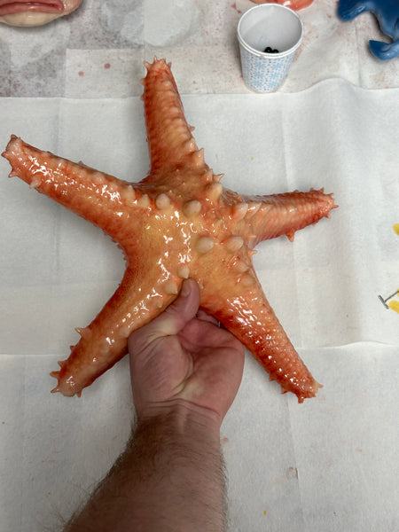 Giant Starfish Silicone Prop