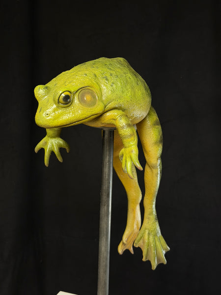 “Bertha” - Giant Bullfrog Silicone Prop