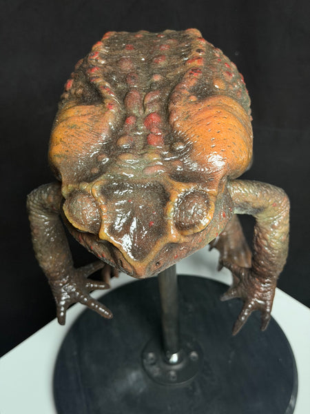 IN STOCK - “Bufus” - Giant Silicone Cane Toad- Brown