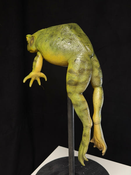 “Bertha” - Giant Bullfrog Silicone Prop