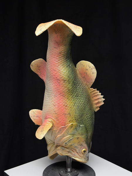 IN STOCK - “Fishy” Trout paint Transworld Display