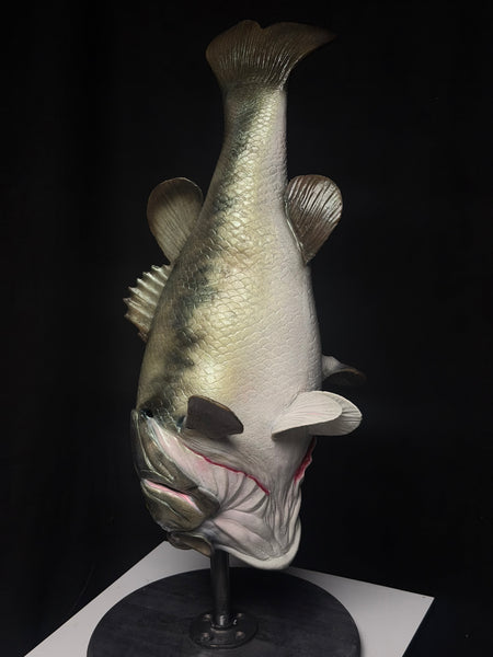 IN STOCK - “Fishy” Bass paint