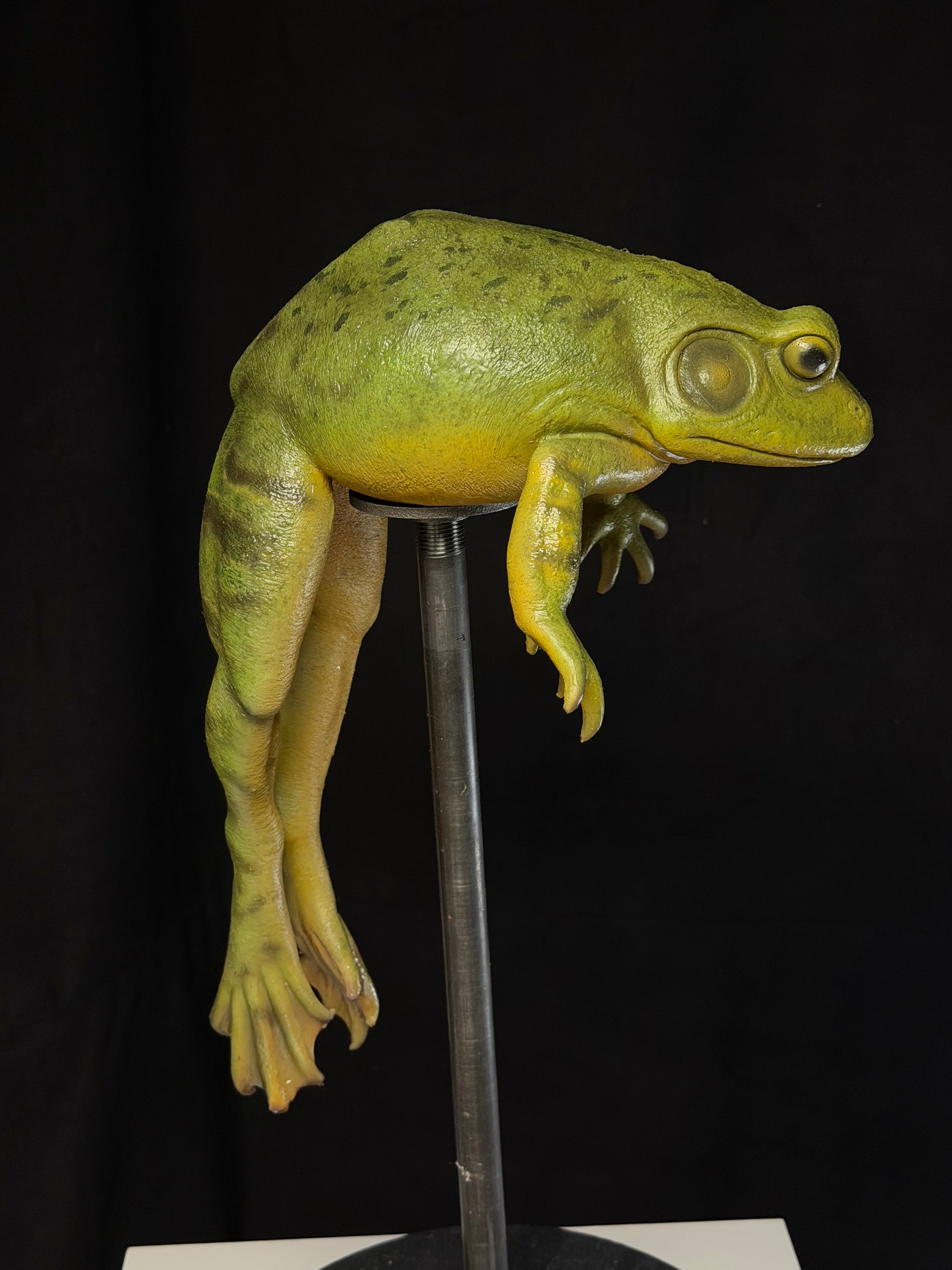 Silicone Bullfrog Prop - Funny Gaff by Savage Silicone