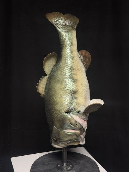 IN STOCK - “Fishy” Bass paint