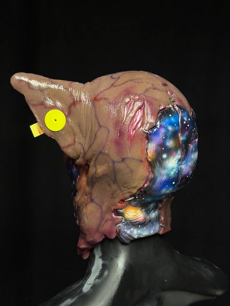 IN STOCK - “Piggy” #101 Galaxy Pig