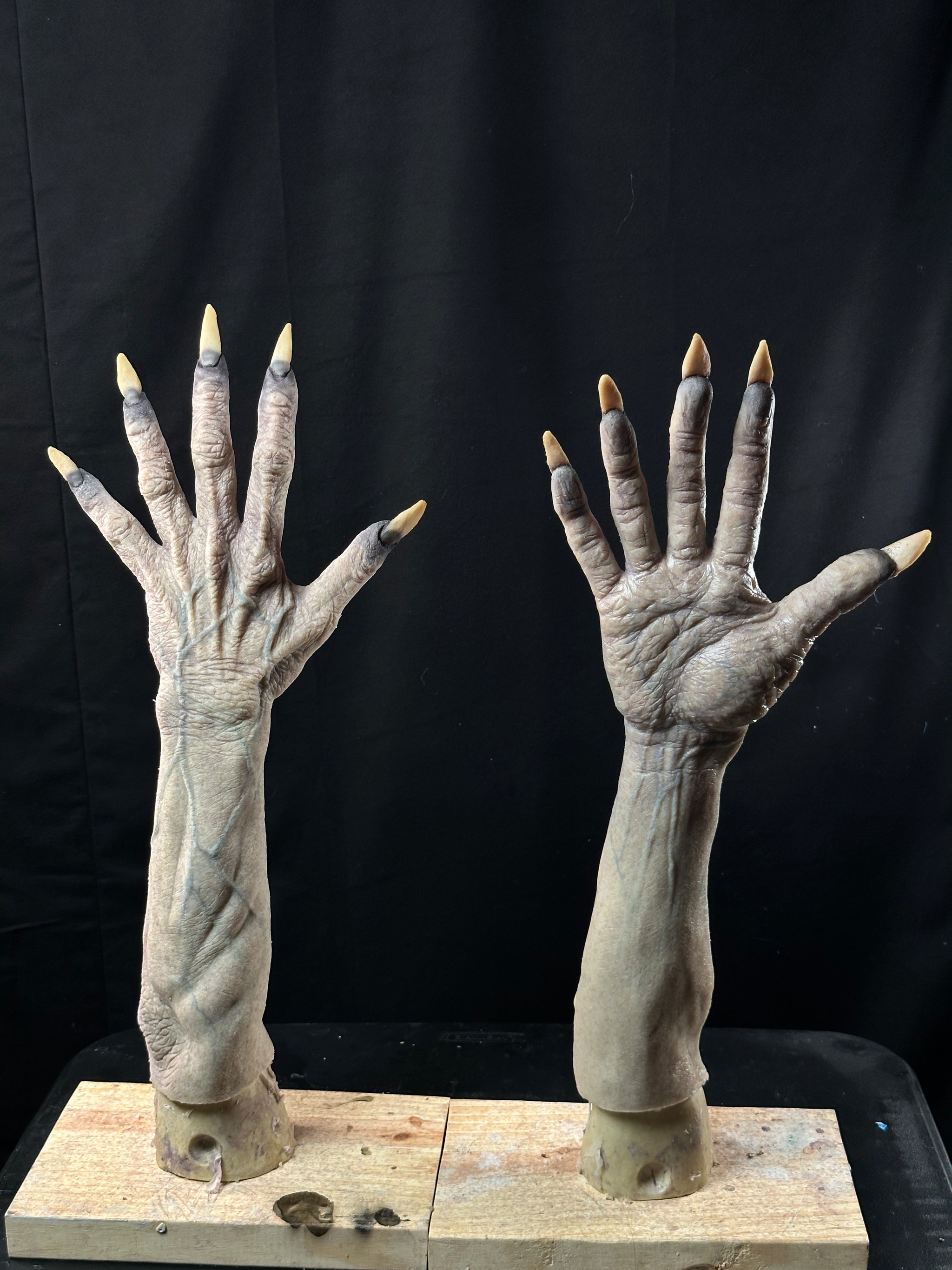 image_c240cc07-b048-4f02-891c-