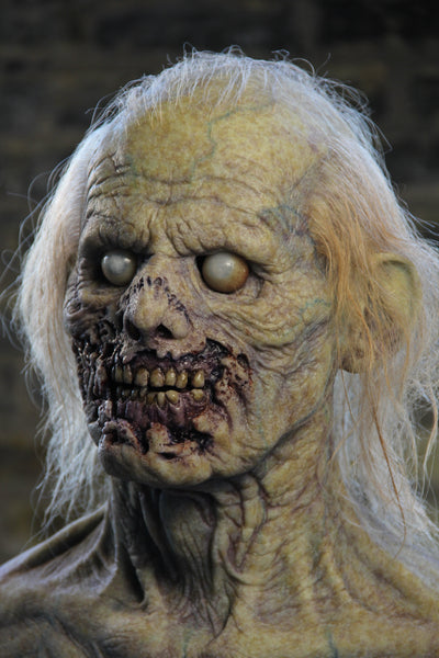 IN STOCK | The Zombie Silicone Mask Roamer Flesh